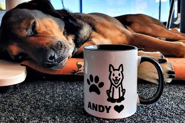 Our Favourite Pal enjoying his dog mug