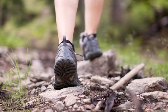 scarpe per camminare nella foresta